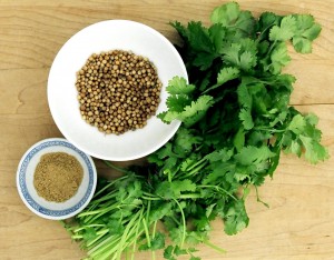 organic-coriander