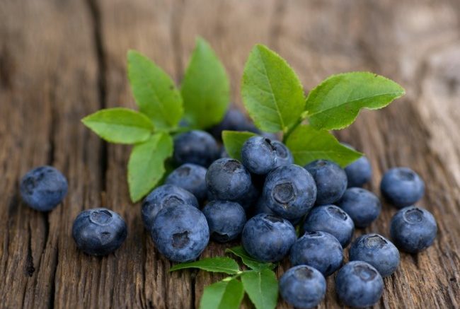 blueberry javasolj cukorbetegség kezelésében)