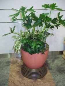 EcoPlanter_270x360