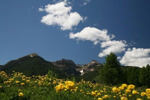 monte_bondone_estate_-_tre_cime_alta_risoluzione_-_foto_m._simonini