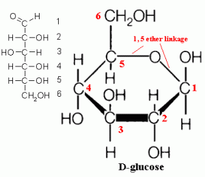 glucose