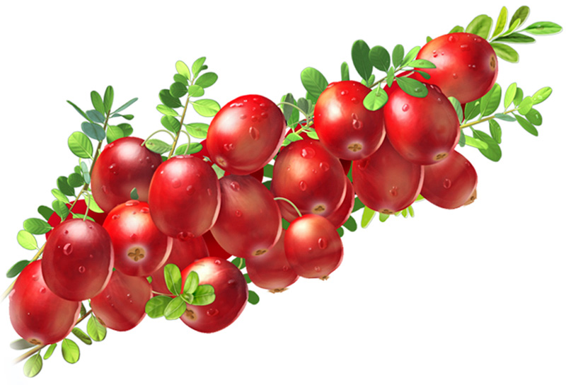 A diétás étrendben is helytálló cranberry tarkabab