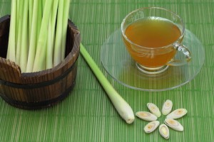 The lemon grass and lemon grass tea.