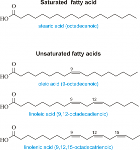 fatty_acids