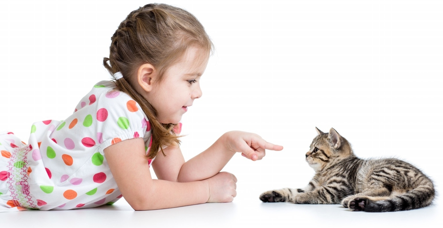 Включи малышам котиков. Кошка для детей. Ребенок играет с котенком. Девочка играет с котенком. Дети играют с животными.
